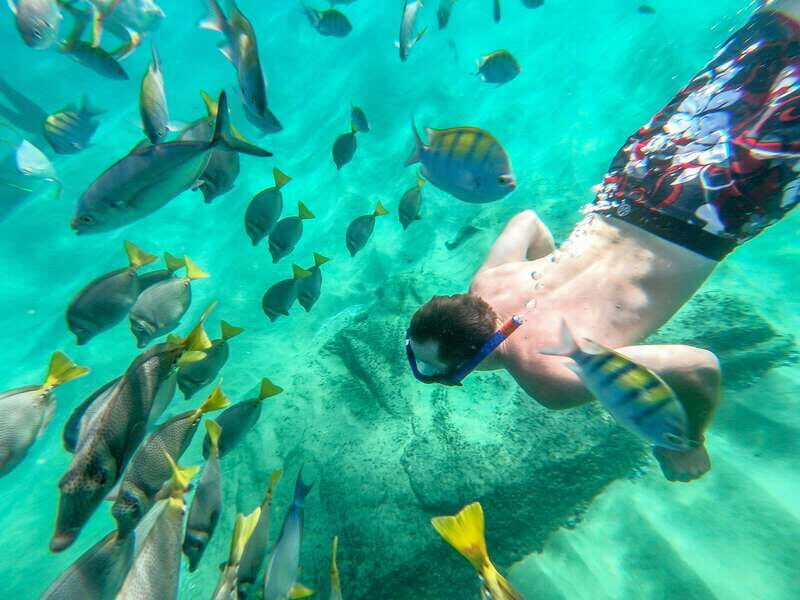 Los Cabos: El Arco, Chileno Beach, and Tequila Tasting Tour - Analyzing the Value