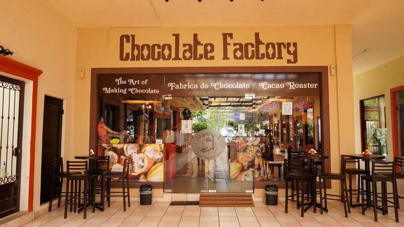 Los Cabos Famous Arch cruise, City tour and Lunch - An In-Depth Look at the Los Cabos Tour Experience