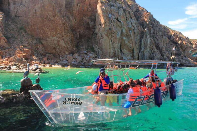 los-cabos-glass-bottom-boat-tour