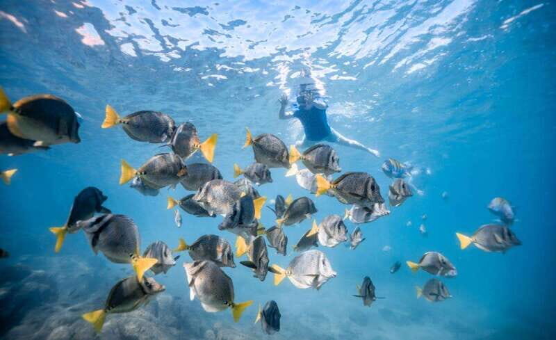 Los Cabos: Glass Bottom Kayak and Snorkel Tour at the Arch - Who Should Consider This Tour?