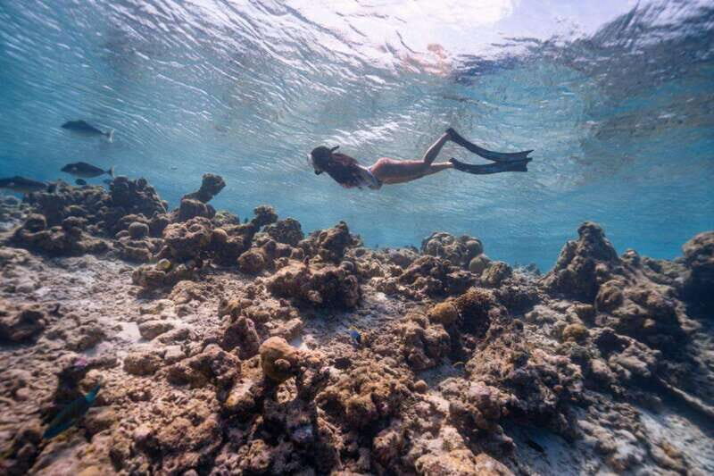 Los Cabos: Glass-Bottom Kayak and Snorkel Tour at Two Bays - Starting Point and Transportation