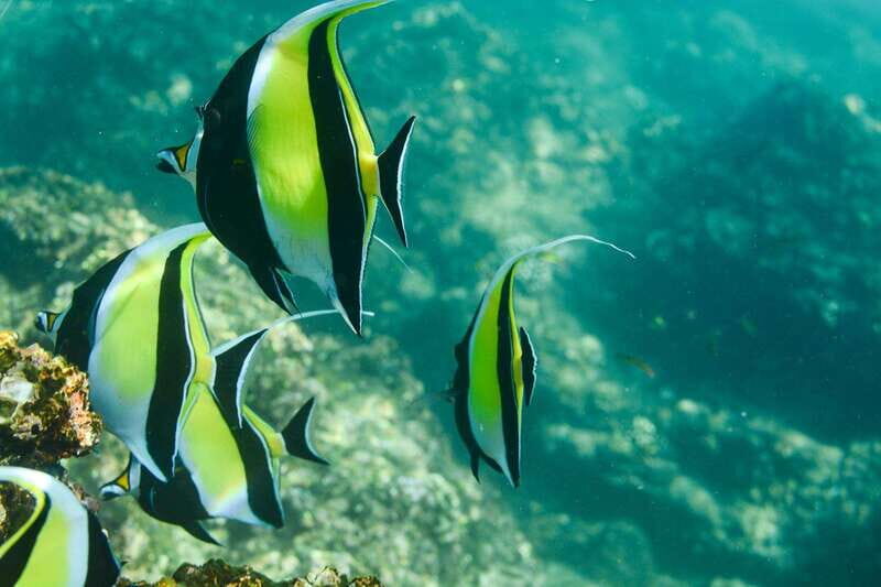 Los Cabos: Glass-Bottom Kayak and Snorkel Tour at Two Bays - The Itinerary Breakdown