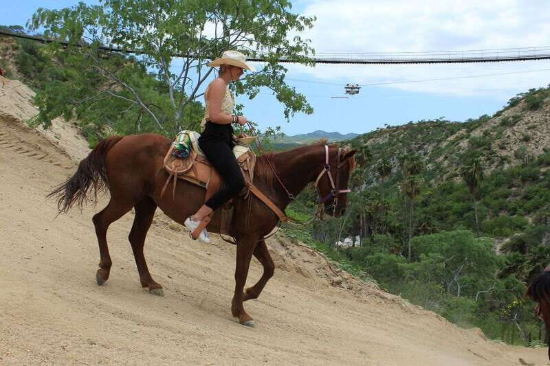 Los Cabos: Horseback Riding in Canyon a Mexican Experience - Authentic Insights from Past Travelers