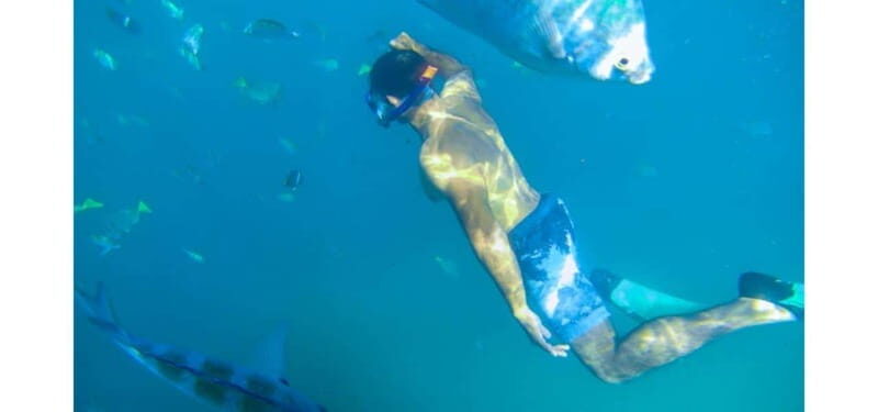 Los Cabos: Land's End Kayak and Snorkel Tour - FAQ