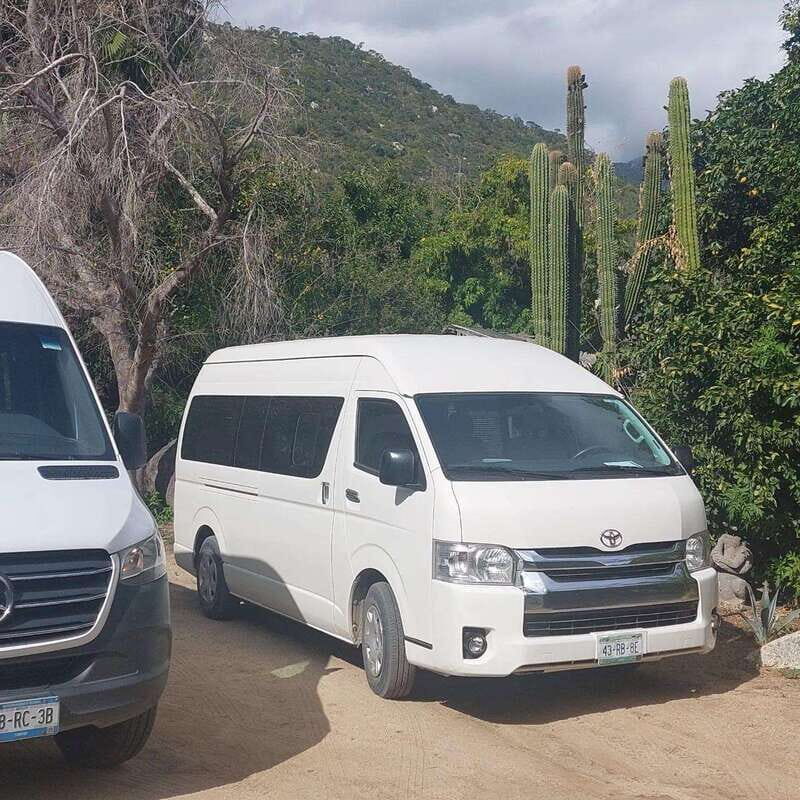 Los Cabos: Private Tour with Roundtrip Transfers - A closer look at the experience