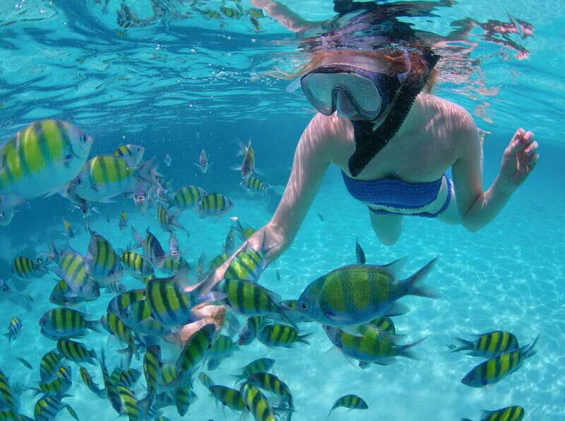 Los Cabos: Sailing Cruise with Snorkeling and Lunch - Final Thoughts: Is It Worth It?