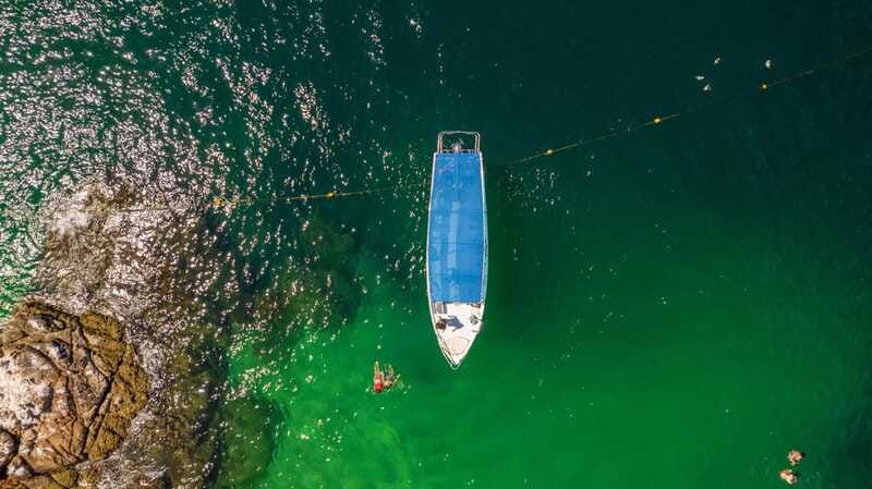 los-cabos-snorkel-and-marine-life