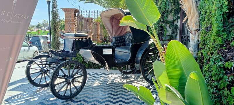 Los Cabos: Todos Santos Pueblo Magico Tour - Authenticity and Value