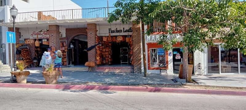Los Cabos: Todos Santos Pueblo Magico Tour - Who Is This Tour Best Suited For?