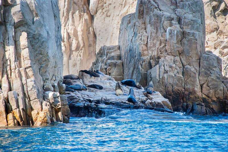 los-cabos-tour-of-rock-formations-and-snorkeling