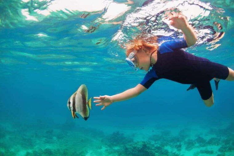 los-cabos-tour-of-rock-formations-and-snorkeling