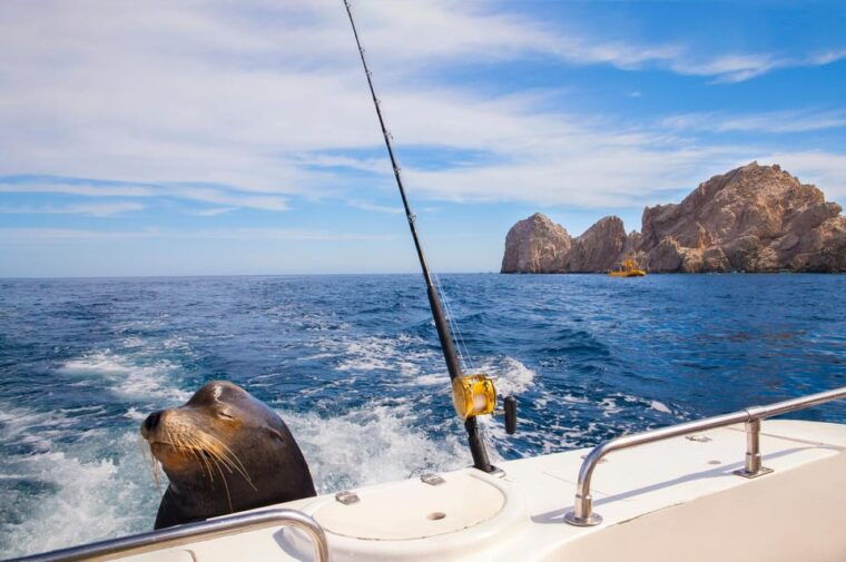 los-cabos-tour-of-rock-formations-and-snorkeling