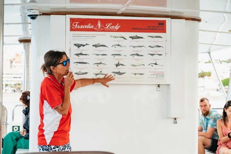 los-cristianos-eco-yacht-whale-watching-cruise-with-swim