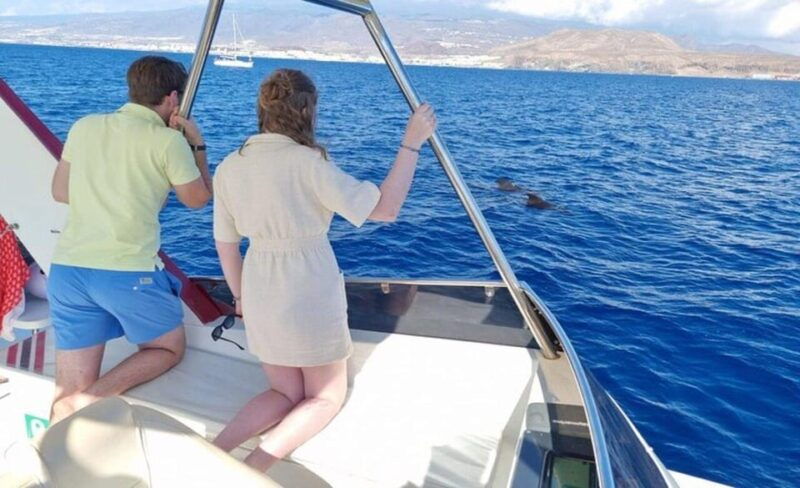 los-cristianos-eco-yacht-whale-watching-cruise-with-swim