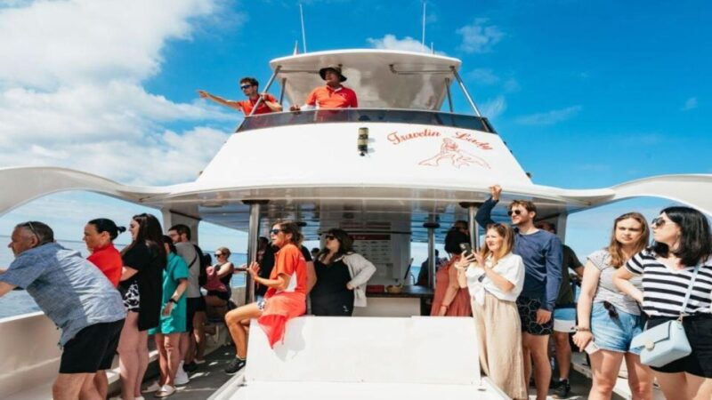 los-cristianos-eco-yacht-whale-watching-tour-at-sunset