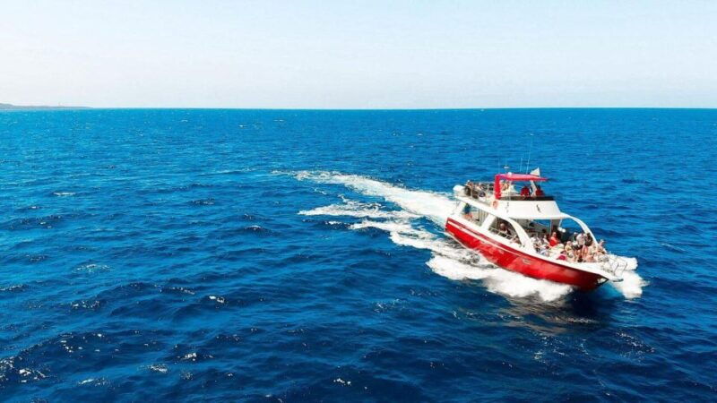 los-cristianos-eco-yacht-whale-watching-tour-at-sunset