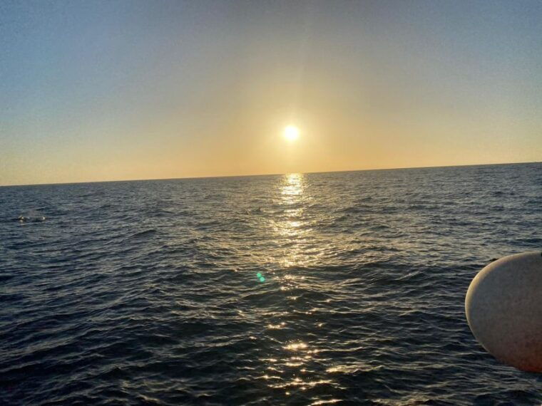 los-cristianos-eco-yacht-whale-watching-tour-at-sunset
