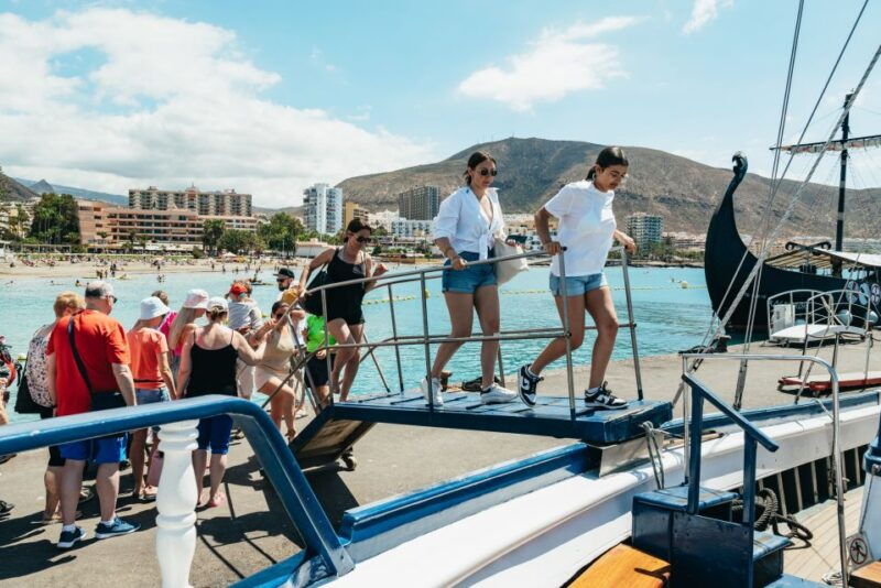 los-cristianos-respectful-no-chase-whale-and-dolphin-cruise