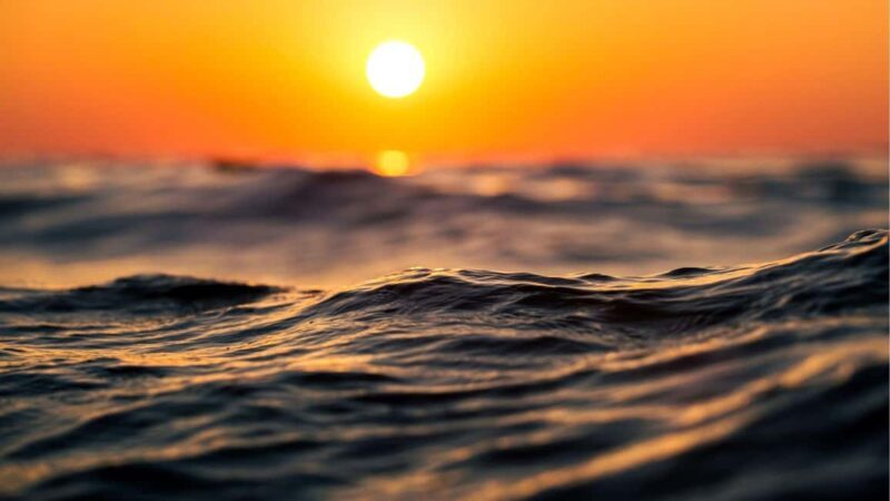 Los Cristianos : Sunset Kayak Safari with Cave & Wildlife - An In-Depth Look at the Experience