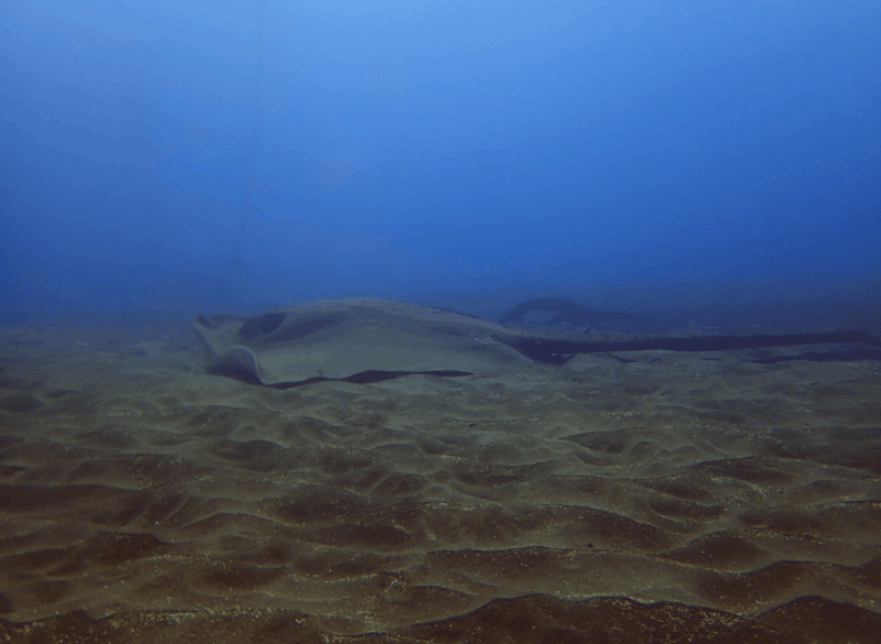 los-cristianos-try-dive-for-beginners