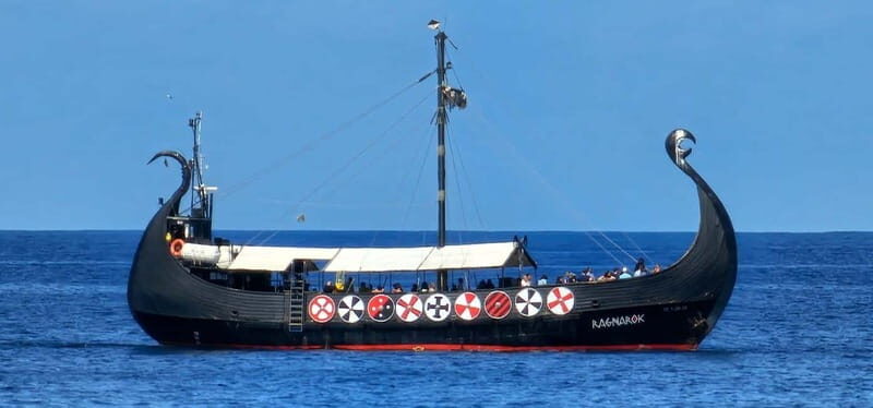 Los Cristianos: Viking Cruise Whales & Dolphins Watching - Practical Tips for Your Trip