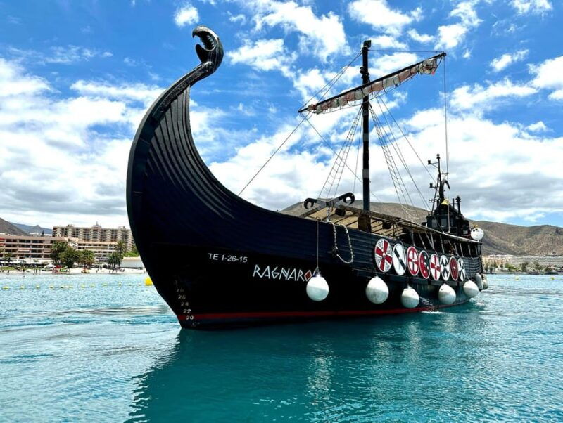 los-cristianos-whale-and-dolphin-cruise-with-swimming-time