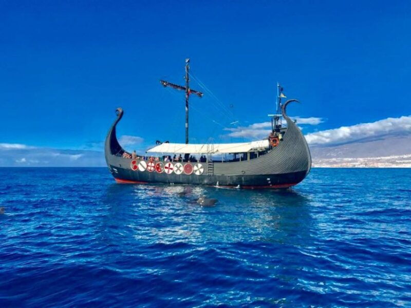 los-cristianos-whale-and-dolphin-cruise-with-swimming-time