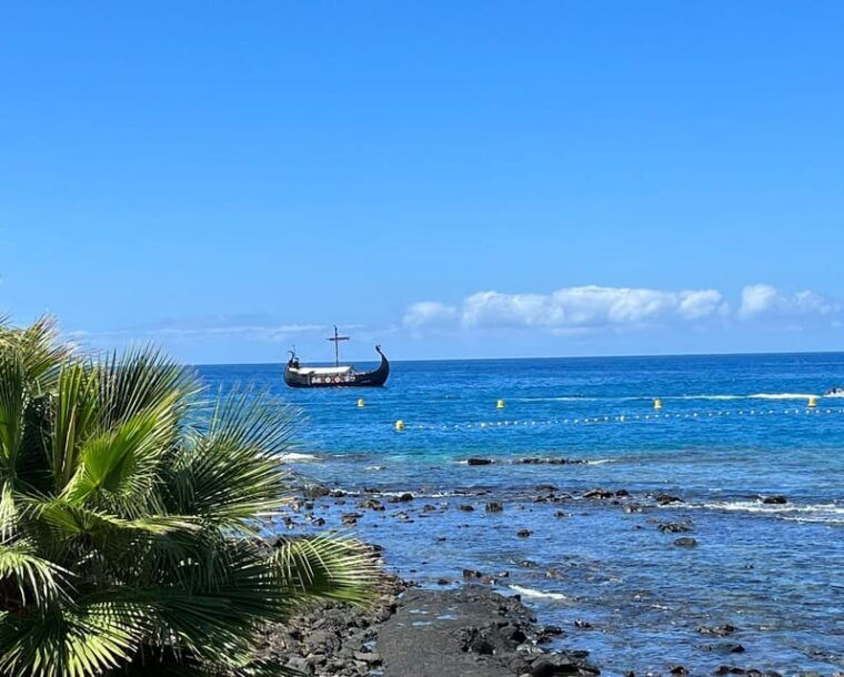 los-cristianos-whale-and-dolphin-cruise-with-swimming-time