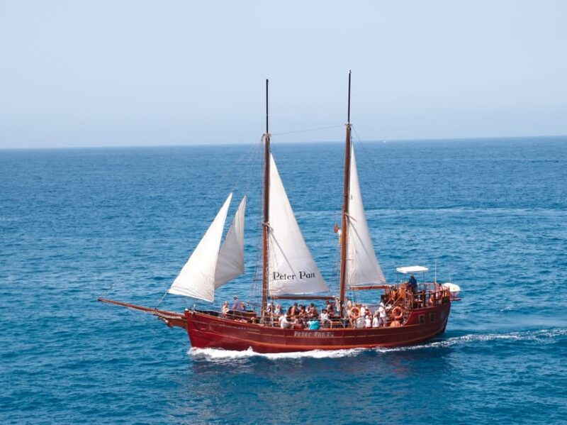 los-cristianos-whale-watching-sailboat-tour-3-hrs-and-food