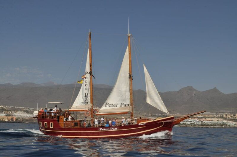los-cristianos-whale-watching-sailboat-tour-3-hrs-and-food