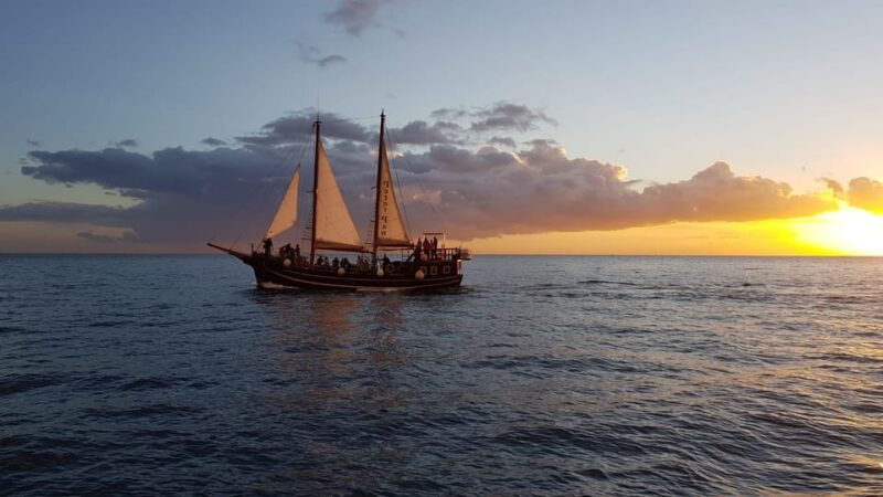los-cristianos-whale-watching-sailboat-tour-3-hrs-and-food