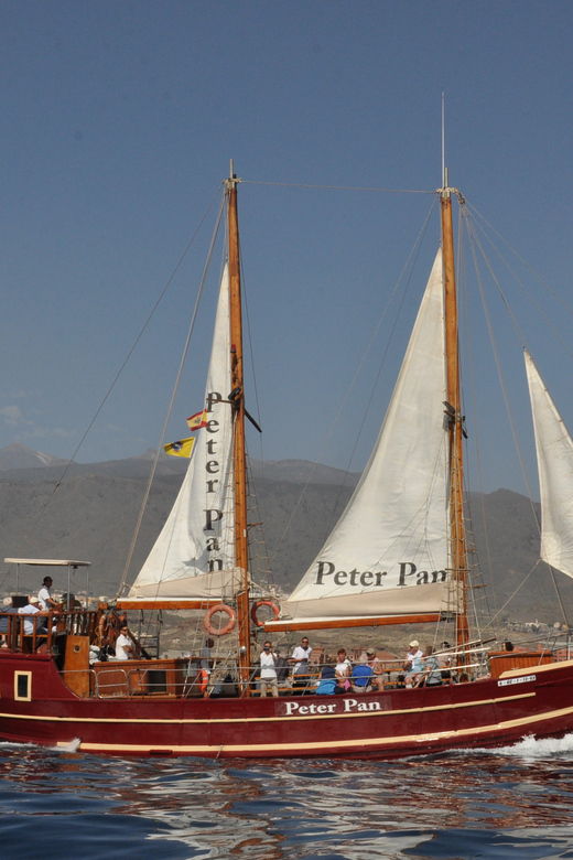 los-cristianos-whale-watching-sailboat-tour-3-hrs-and-food
