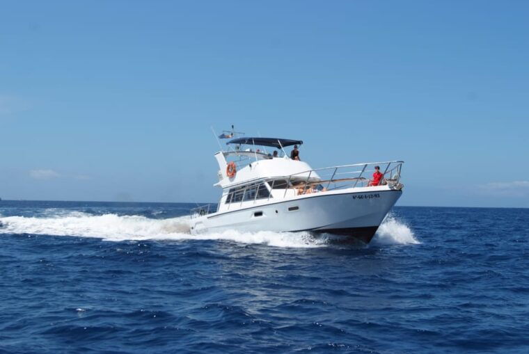 los-cristianos-whale-watching-tour-with-swimming-and-lunch-on-yacht-for-22-passengers