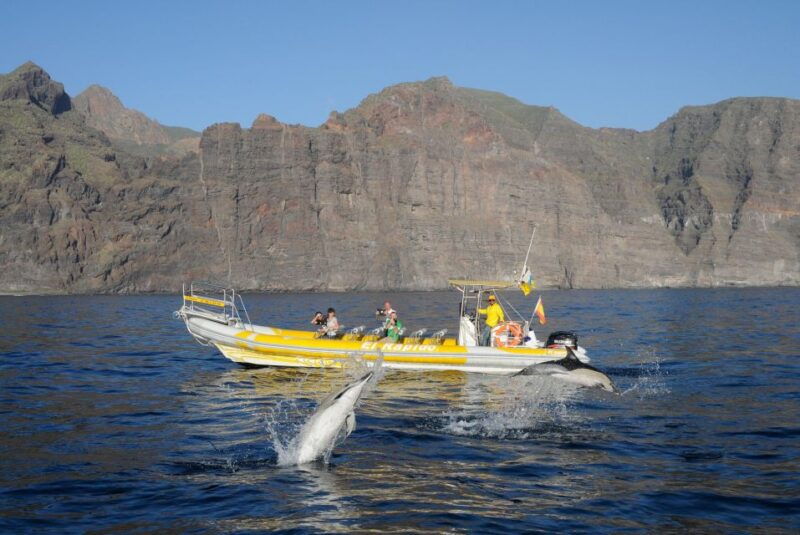 los-gigantes-dolphin-and-whale-watching-cruise-by-speedboat