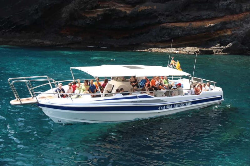Los Gigantes: Whale or dolphin watching and swimming tour in Masca - What to Expect from the Tour