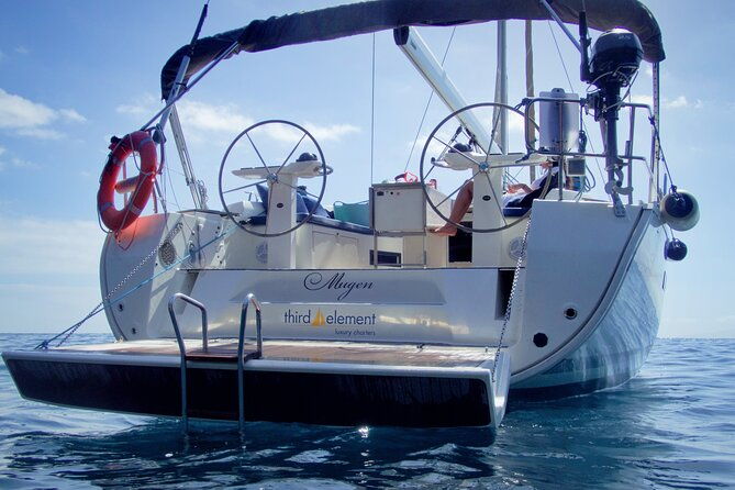 los-gigantes-whale-watching-charter-by-sail-boat