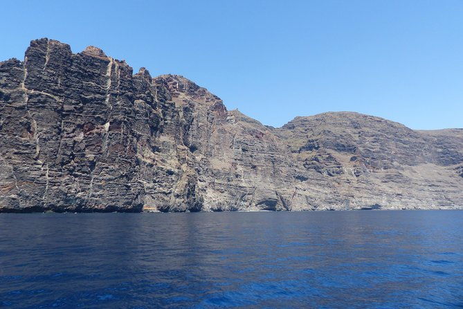 los-gigantes-whale-watching-charter-by-sail-boat