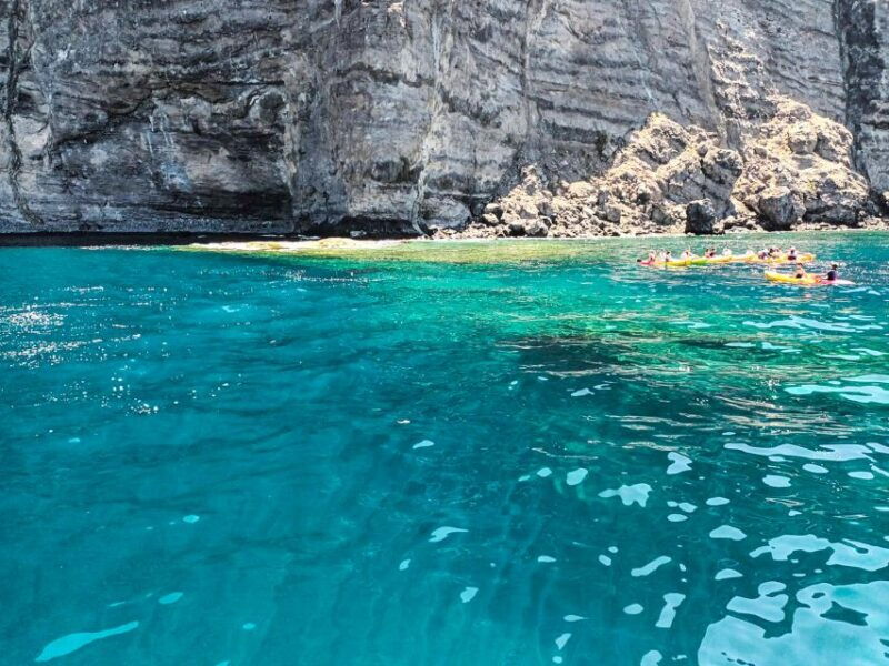 los-gigantes-whales-and-dolphin-watching-cruise-with-lunch