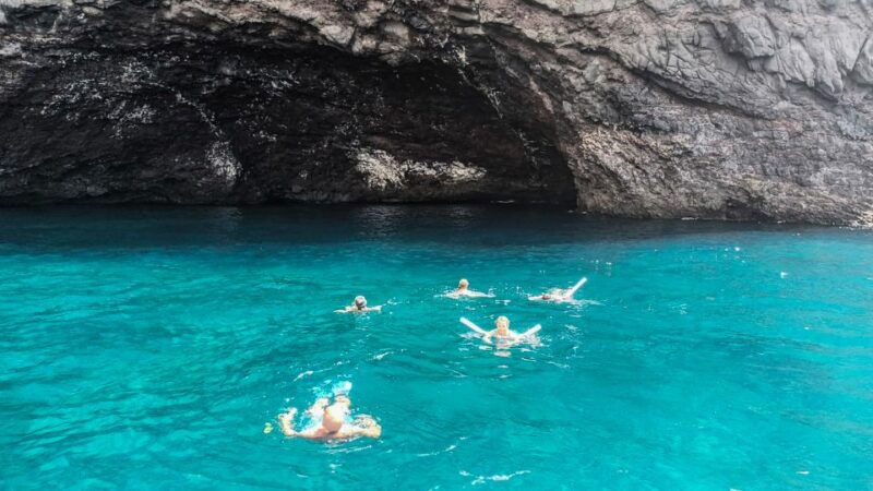 los-gigantes-whales-and-dolphin-watching-cruise-with-lunch