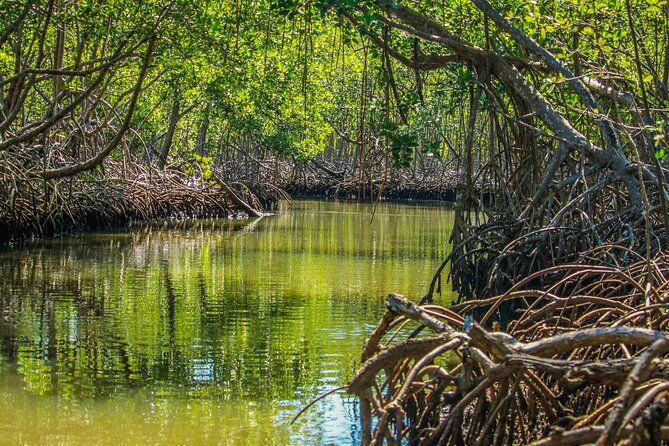 los-haitises-national-park-2