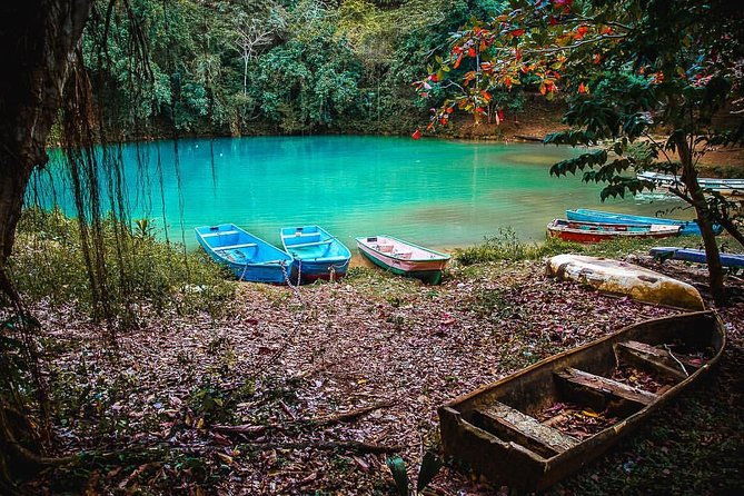 los-haitises-national-park-hiking-in-rain-forest-private-boat-to-caves