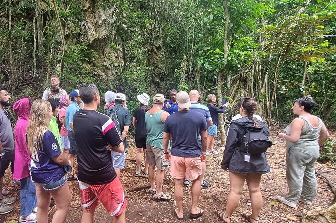 los-haitises-national-park-with-montana-redonda-paraiso-cano-hondo