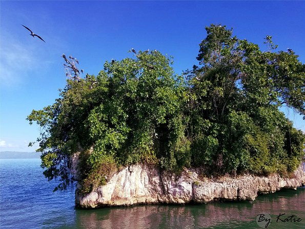 los-haitises-plus-bacardi-island-for-samana-cruise-ship-travelers