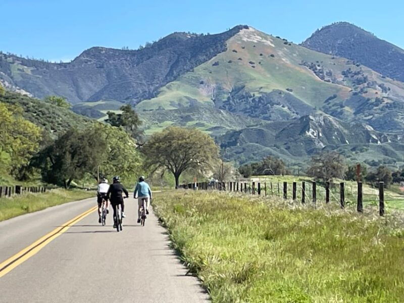 los-olivos-e-bike-tour-vineyard-lunch-with-wine-tasting