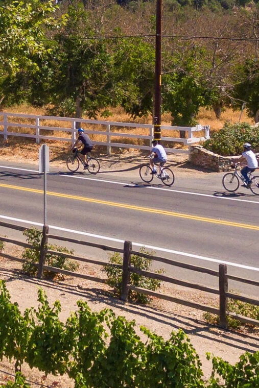 los-olivos-e-bike-tour-vineyard-lunch-with-wine-tasting