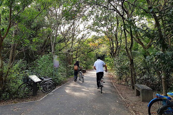 Lost in Bangkok : Green Lung Jungle Bicycle Ride with Lunch - Who Will Love This Tour?