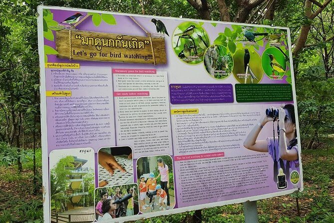 Lost in Bangkok : Green Lung Jungle Bicycle Ride with Lunch - Key Points