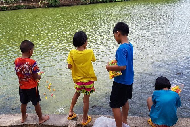 Lost in Bangkok : Green Lung Jungle Bicycle Ride with Lunch - Practical Insights and Value