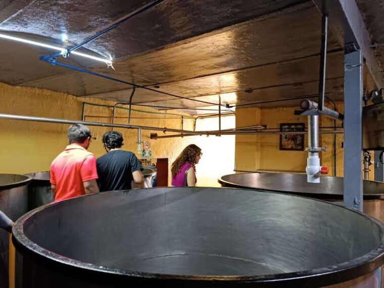 lots-of-party-have-fun-at-la-aguirrena-factory