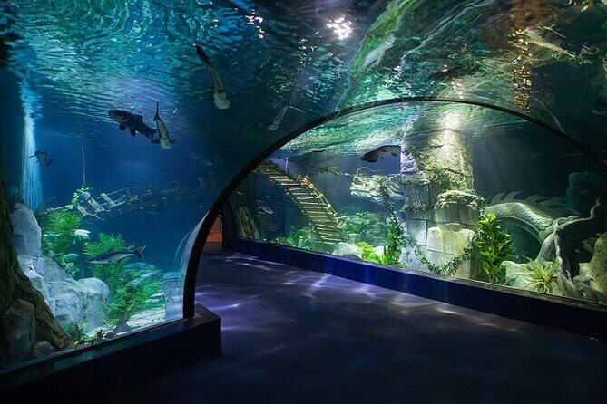 Lotte World Aquarium Hanoi Admission Ticket - Additional Activities and Considerations